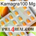 Kamagra100 Mg cialis4